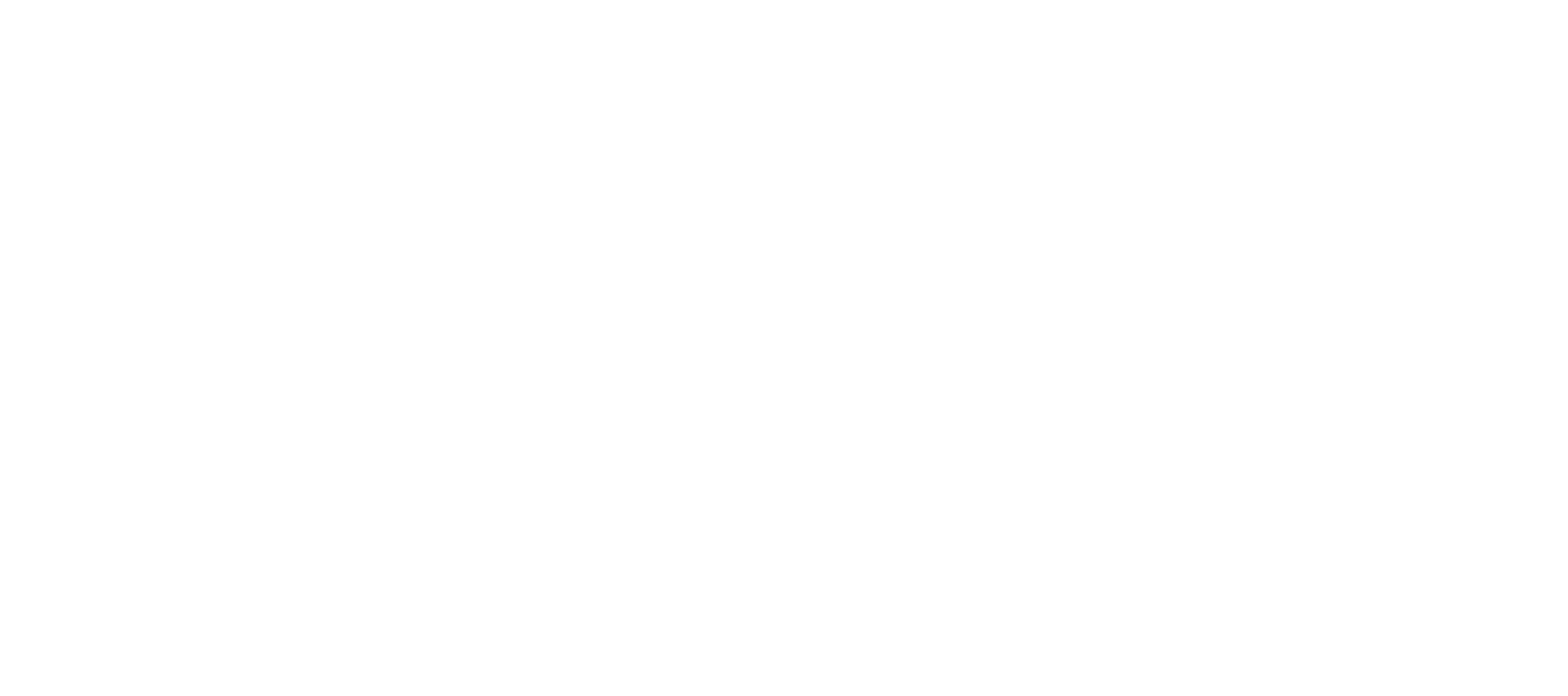 Owl Gallery